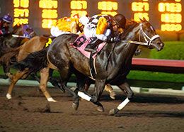 French Valley, under jockey Cesar Franco, dominates the third trial on Saturday.