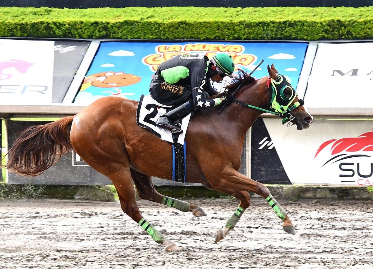 Last Eagle V Wins Alfredo Castro Rea Derby For Third Consecutive Stakes Victory Of 2026