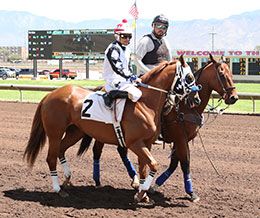 Karmas A Chick and jockey Jacob Enriquez finished second in the fastest trial to get the second fastest All American Oaks(G1) qualifying time Wednesday.