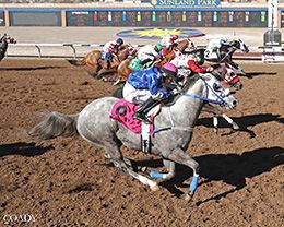 Lovely Josie James (#8) under jockey Jose Ortiz winning the Sunburst Stakes (G3) on Saturday at Sunland Park.
