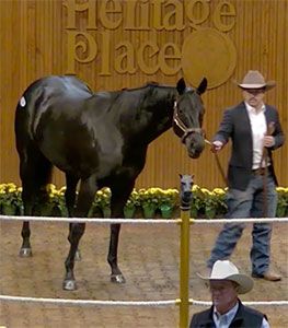 Heritage Place Sale Company