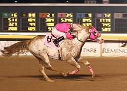 SM Country Snowman shown winning the Speedhorse Graham P&A Derby-G1 on March 23, 2008.