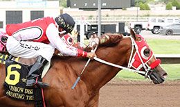 Dashing Tres and jockey Candanosa has been made the 5/2 morning line favorite in the $1,076,535 All AmericanDerby.