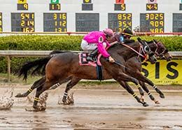 Rational Tlc (inside) held off Luci B (#8) to get the final qualifying spot in the Mardi Gras Futurity trials.