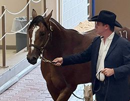 Ajs Tres Of Paint is a half-brother to A Tres Of Politics, the second-highest seller on Day 1 of the 2025 Ruidoso Select Yearling Sale, who brought $340,000.