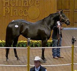 Heritage Place Sale Company