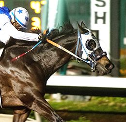 Beach Walk is one of the talented sophomores headed into the $12,000 featured allowance race on Saturday at Los Alamitos