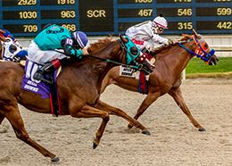 Blood Kiss, ridden by Ricardo Hernandez, Jr., wins the Louisiana Starter Stakes at Delta Downs July 12.