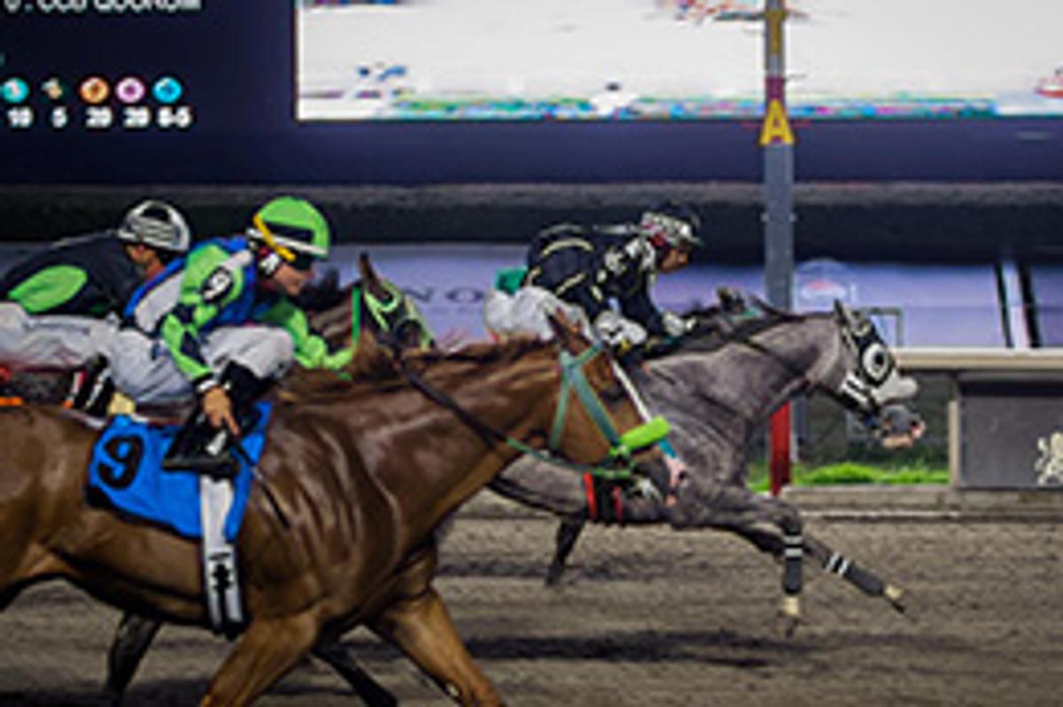 Miguel Angel Espinoza / Hipodromo de Las Américas
