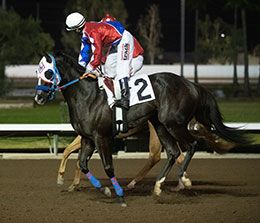 Los Alamitos Two Million Futurity runner-up and second fastest Winter Derby qualifier Brown Coffeee.