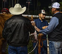 Owner Matt Dunn congratulates the Arrossa team on Sunday.