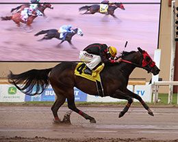 Toby Sis, winner of the 2025 Grade 1 Los Alamitos $2 Million, posted the second-fastest time after being supplemented into the Heritage Place Oaks trials Sunday.