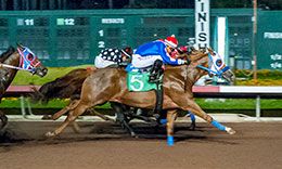 A Political Wave, under jockey Jonathan Roman, winning the opening trial.