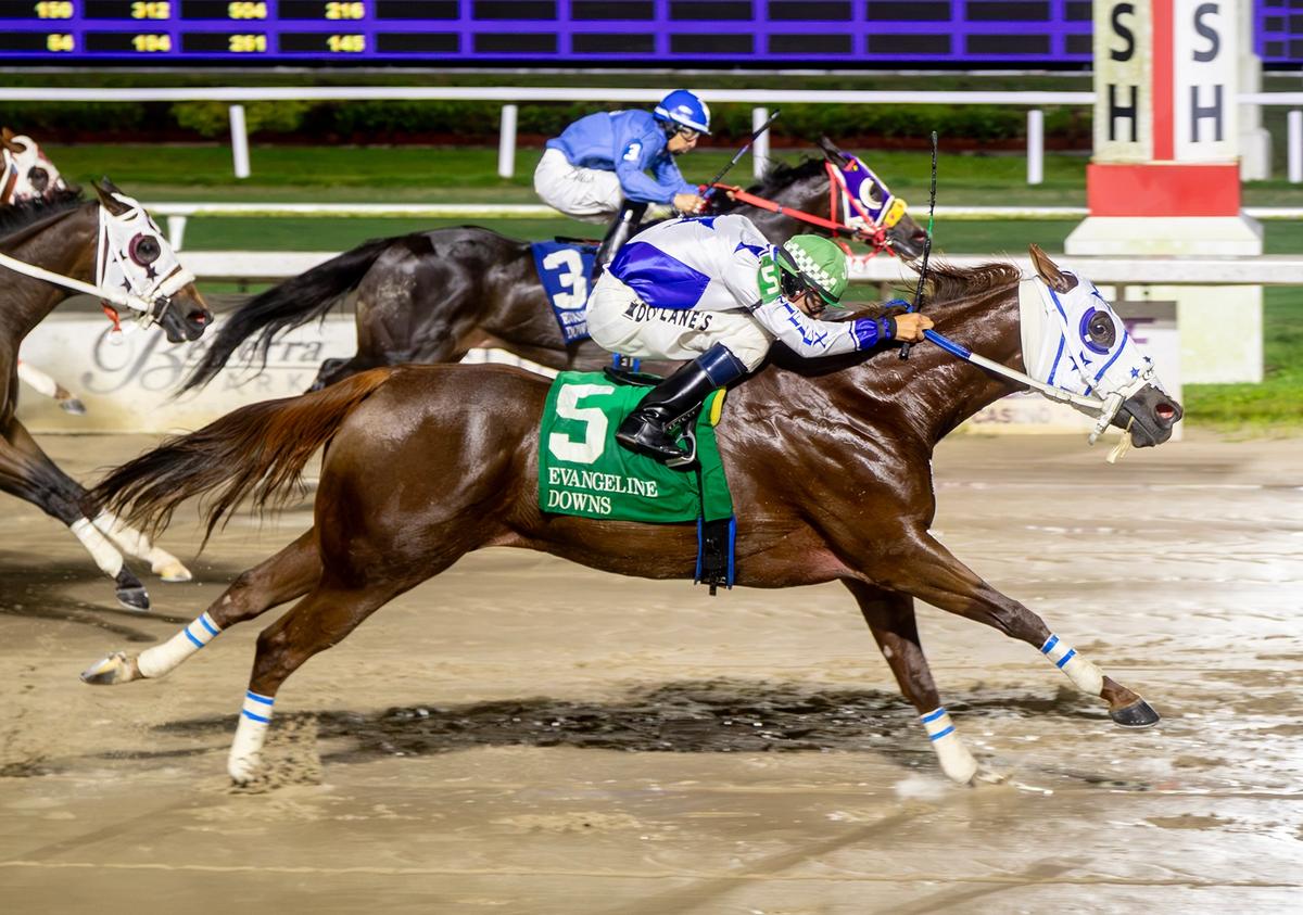 Ajs Louisiana Chick Scores Half-Length Victory in $30,000 Amelia Belle Stakes at Evangeline Downs