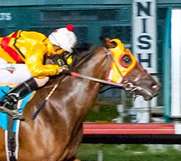 Los Alamitos
