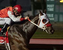Los Alamitos