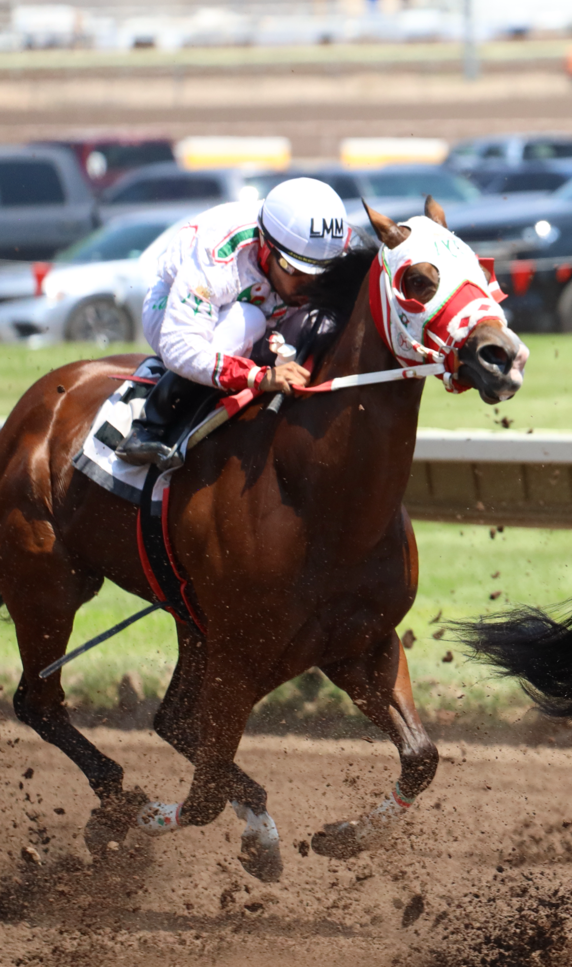 Beautiful Temptation qualified for the $694,186 All American Oaks-G1