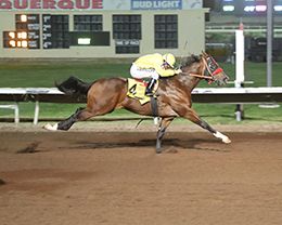 Arbitro, under champion jockey James Flores, wins the Grade 2 $144,100 John Deere Juvenile Challenge Champions at Albuquerque.