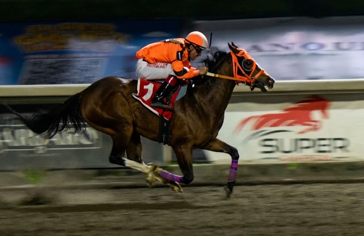 Kc Shes Cartel Scores Upset Victory In $43,798 Derby Criadores Mexicanos At Hipódromo De Las Américas