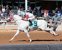 Rime Chimes, under jockey Paul Nieto, winning the $175,000 Namehimastreaker New Mexico Classic Championship(RG1) at Zia Park.