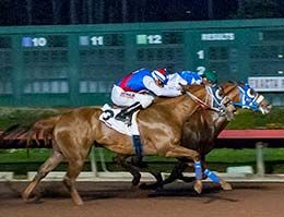 Apolitical Chiltas (#1) battles Bold N Beautiful (#2) in the opening trials Saturday for the Los Alamitos Oaks.
