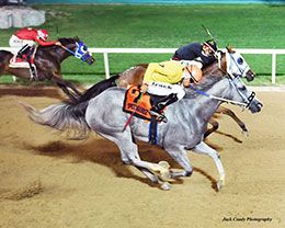 Blowin In The Wind (#7) gets up over Whirlaway Llexus (#6) in the Speedhorse QH Futurity at Fair Meadows.