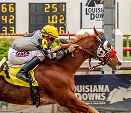 Dollar Bill, who was sold for $39,000 in the 2022 sale, has over $580,000.