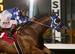 Los Alamitos