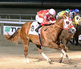 You Drive I Fly, under jockey Donald Watson, winning the $1,000,000 LQHBA Louisiana Million Futurity(RG1) at Evangeline Downs.