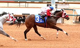 Mw B Cause Im Sexy, under jockey Emilio Tapia, posted the second fastest qualifying time in the opening trial at Ruidoso Downs Friday.