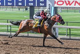 Vince & Linda Williams