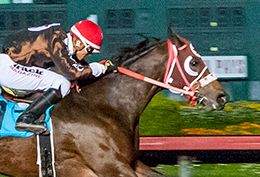 Los Alamitos