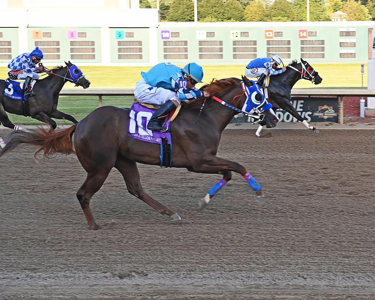 Iowa-Bred Sophomores Take Center Stage In The $57,575 Iowa Stallion Derby
