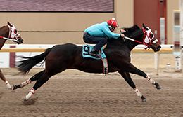 Dustin Orona Photography/Remington Park