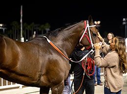 Winning trainer Elena Andrade with Jessica Cruz in the Azure Three winner’s circle at Los Alamitos Race Course.