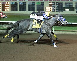 Shakers No Secret (#4), under jockey Noe Garcia, Jr., wins the $277,975 AQHA Racing Challenge Championship(G1) on Saturday at The Downs at Albuquerque.
