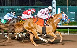 Hi Octane, under jockey Rodrigo Vallejo, won the opening trial of the John Deere California Juvenile Challenge on Saturday night.
