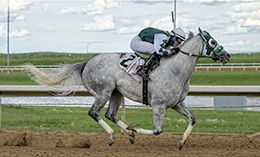 Coady Photography, Ltd.