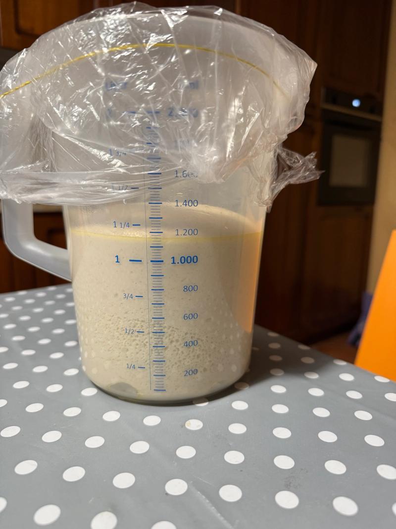 Bulk Rise