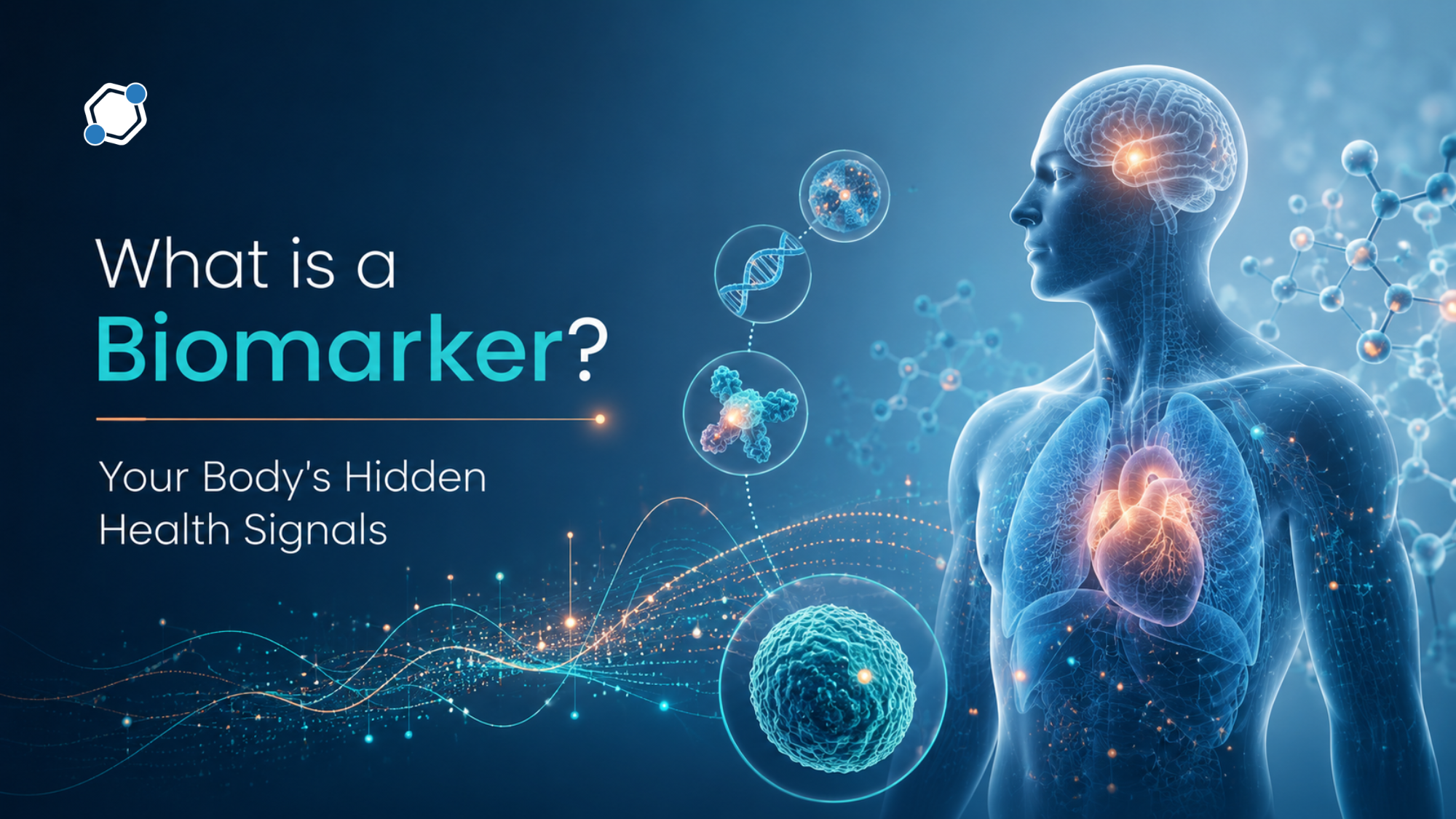 What is a Biomarker? Your Body's Hidden Health Signals