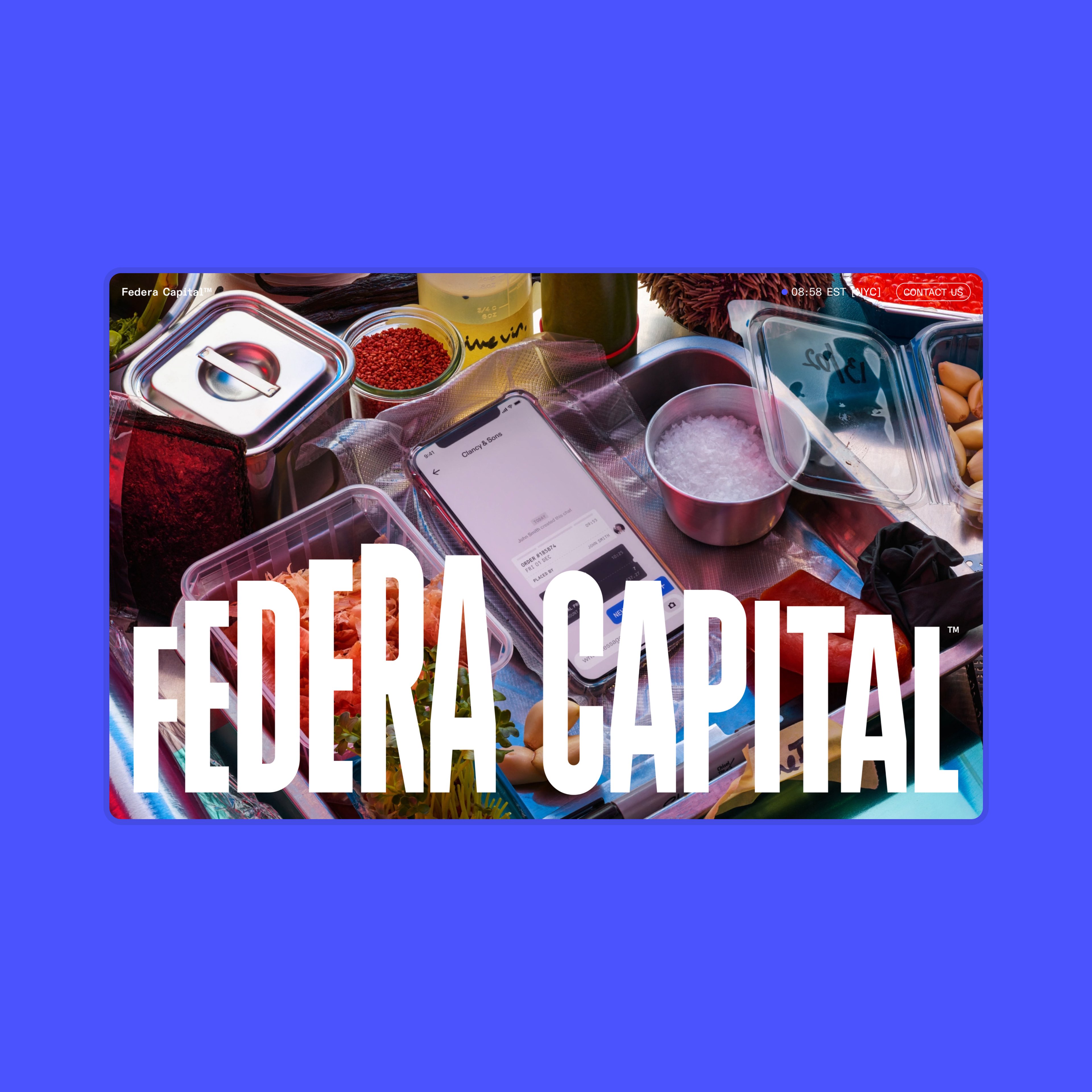 Screenshot of the Federa Capital homepage