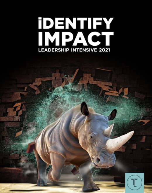 Rhino stampeding through brick wall that says iDentity Impact