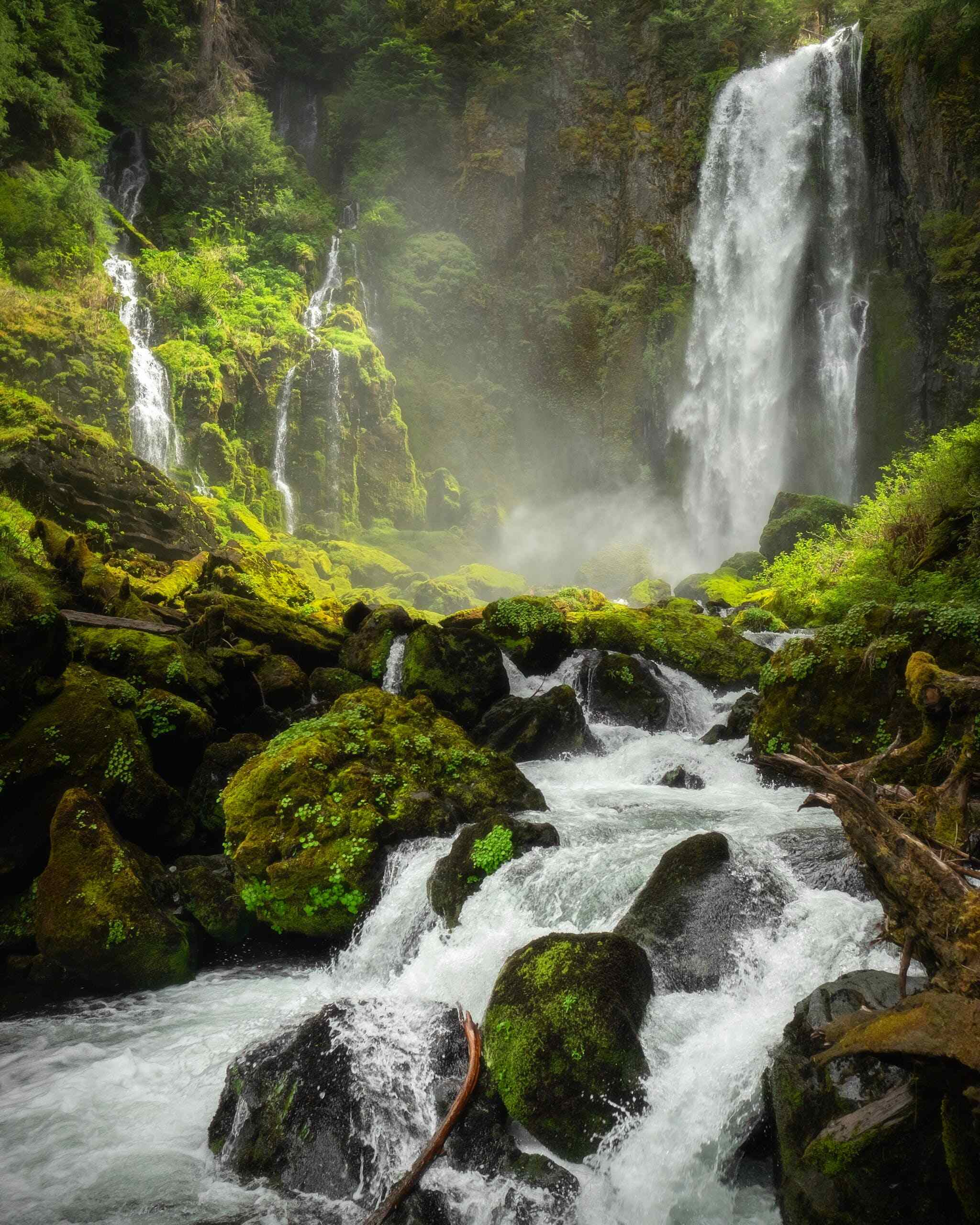 A cascading waterfall amidst lush greenery.
