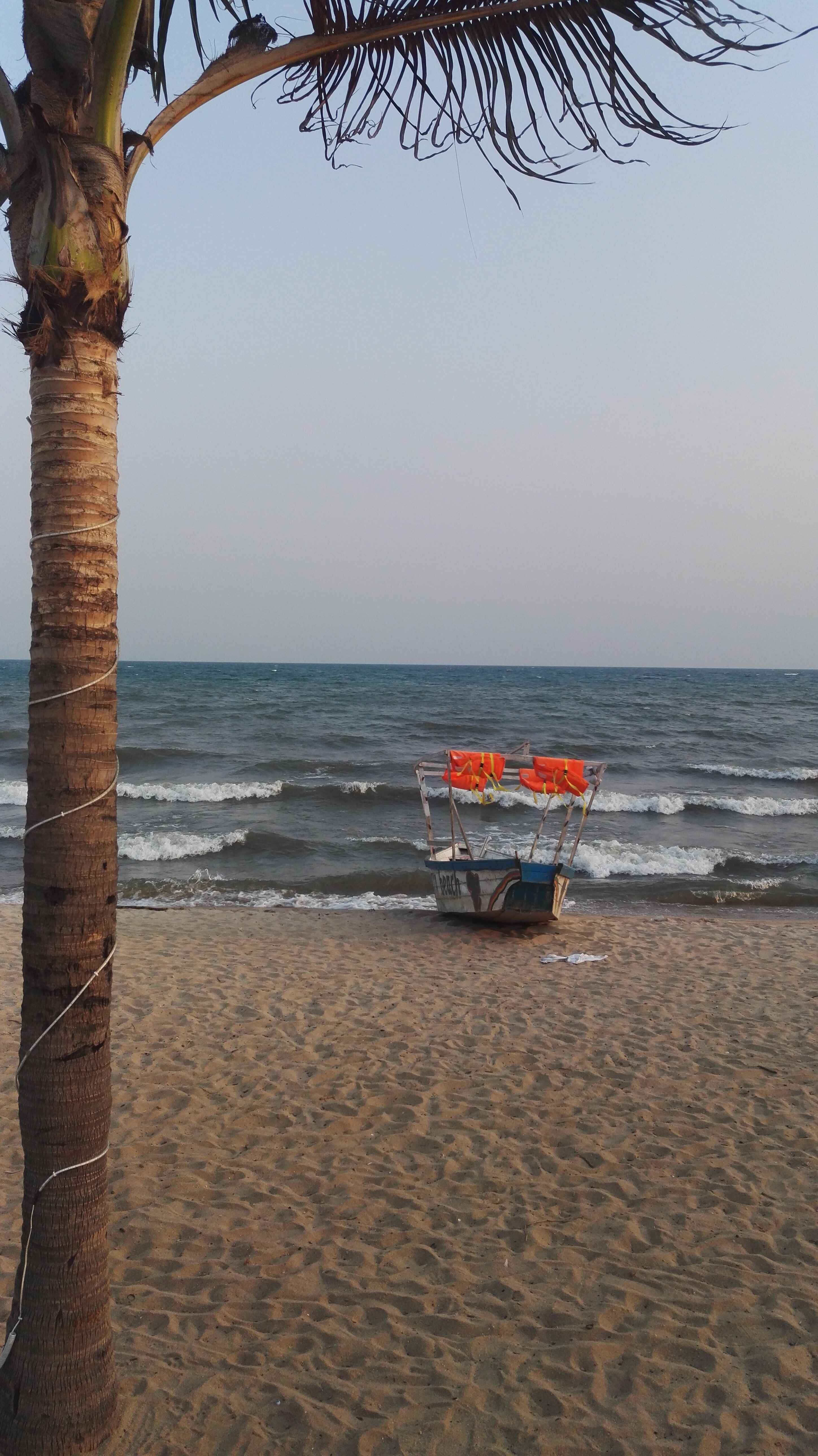 Palm tree on a sandy beach in Burundi, with a small boat and life vests nearby.