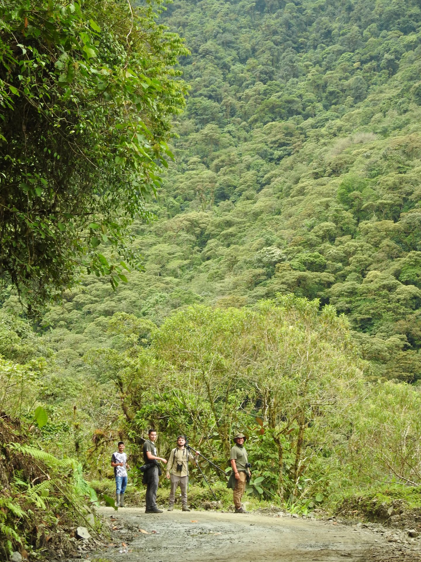 Exploring the Geology of the Colombian Andean Volcanoes