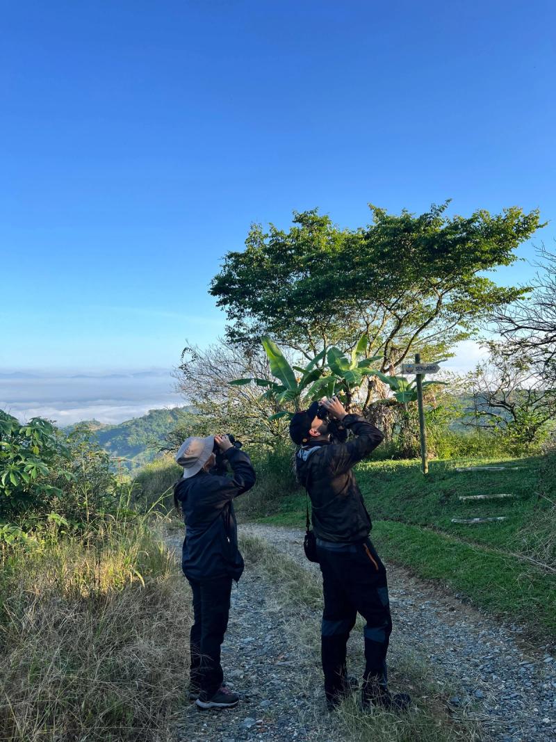 Couples in Nature