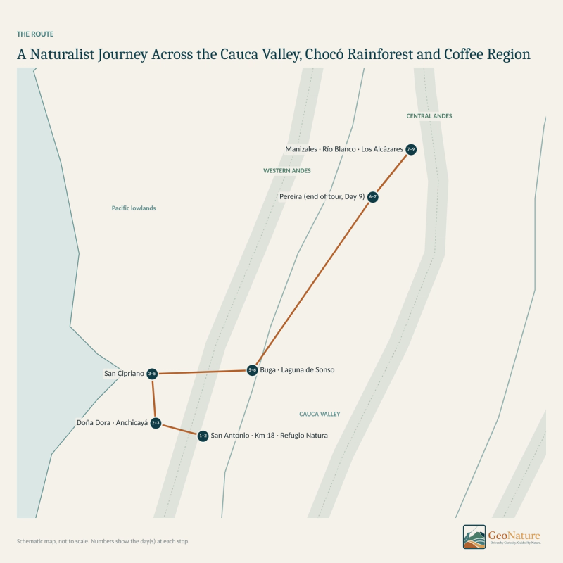 A Naturalist Journey Across the Cauca Valley, Chocó Rainforest and Coffee Region — map