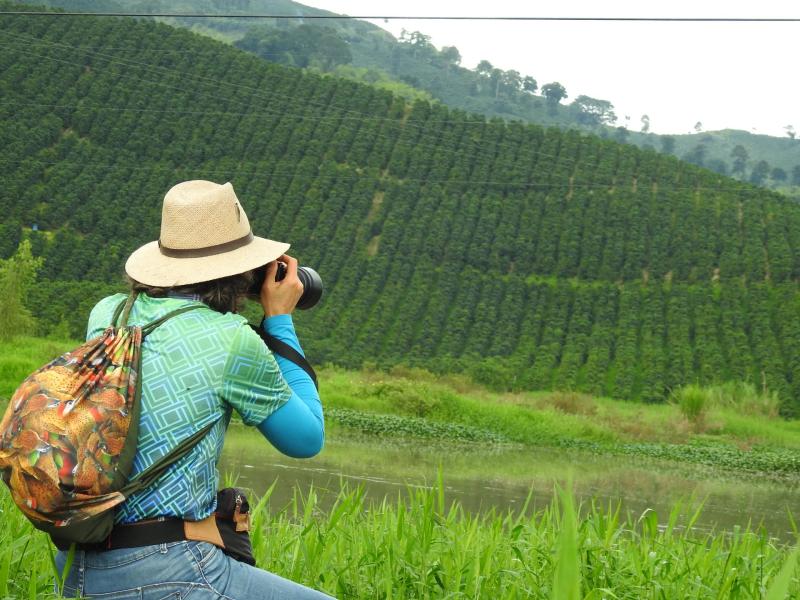 A Naturalist Journey Across the Cauca Valley, Chocó Rainforest and Coffee Region