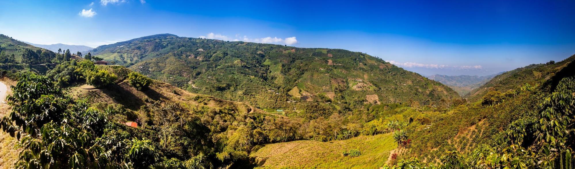 Colombian Andes Curiosity Journey — photo 6