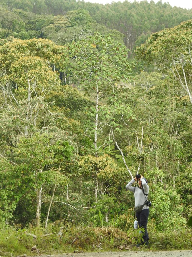 Day 1 · Exploring the Cloud Forest of Cali